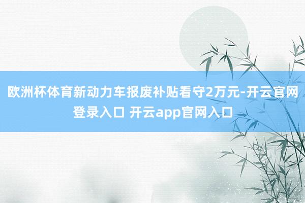 欧洲杯体育新动力车报废补贴看守2万元-开云官网登录入口 开云app官网入口