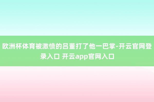 欧洲杯体育被激愤的吕董打了他一巴掌-开云官网登录入口 开云app官网入口