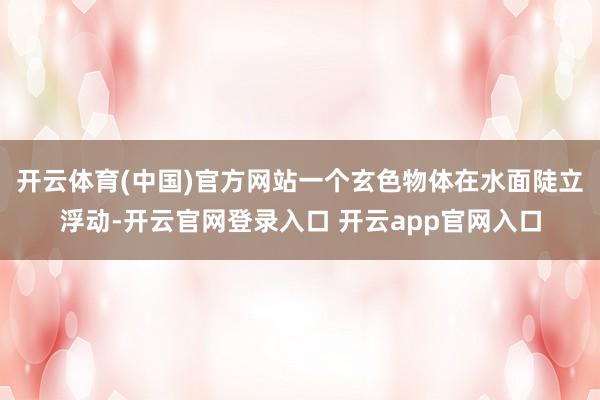 开云体育(中国)官方网站一个玄色物体在水面陡立浮动-开云官网登录入口 开云app官网入口