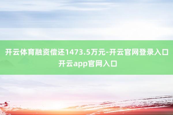 开云体育融资偿还1473.5万元-开云官网登录入口 开云app官网入口