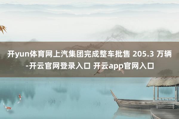 开yun体育网上汽集团完成整车批售 205.3 万辆-开云官网登录入口 开云app官网入口