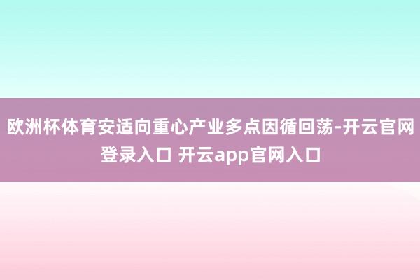 欧洲杯体育安适向重心产业多点因循回荡-开云官网登录入口 开云app官网入口