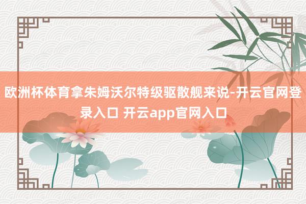 欧洲杯体育拿朱姆沃尔特级驱散舰来说-开云官网登录入口 开云app官网入口