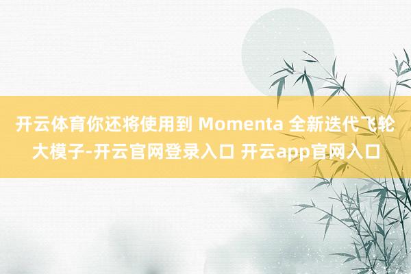 开云体育你还将使用到 Momenta 全新迭代飞轮大模子-开云官网登录入口 开云app官网入口