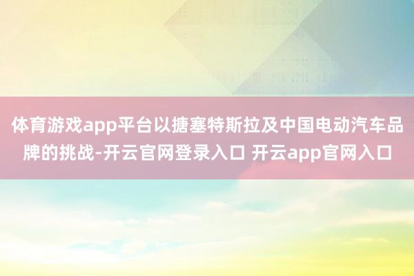 体育游戏app平台以搪塞特斯拉及中国电动汽车品牌的挑战-开云官网登录入口 开云app官网入口