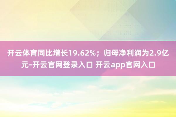 开云体育同比增长19.62%；归母净利润为2.9亿元-开云官网登录入口 开云app官网入口