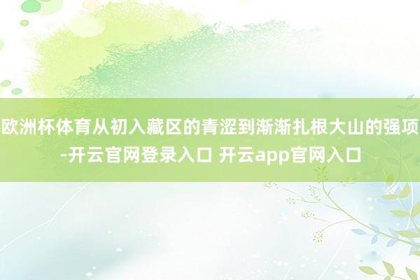 欧洲杯体育从初入藏区的青涩到渐渐扎根大山的强项-开云官网登录入口 开云app官网入口