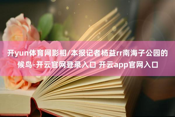 开yun体育网影相/本报记者杨益rr南海子公园的候鸟-开云官网登录入口 开云app官网入口