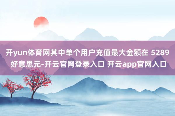 开yun体育网其中单个用户充值最大金额在 5289 好意思元-开云官网登录入口 开云app官网入口