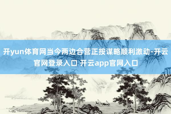 开yun体育网当今两边合营正按谋略顺利激动-开云官网登录入口 开云app官网入口