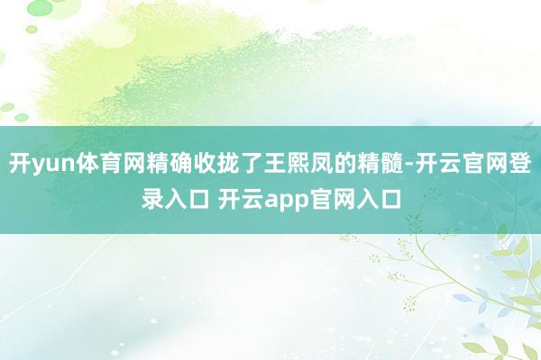 开yun体育网精确收拢了王熙凤的精髓-开云官网登录入口 开云app官网入口