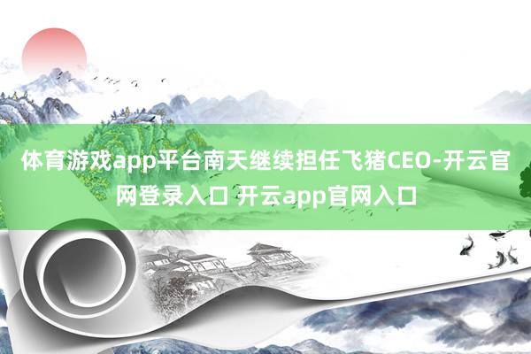 体育游戏app平台南天继续担任飞猪CEO-开云官网登录入口 开云app官网入口
